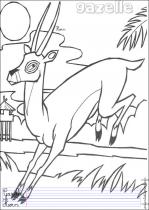 coloriage-gazelle-1